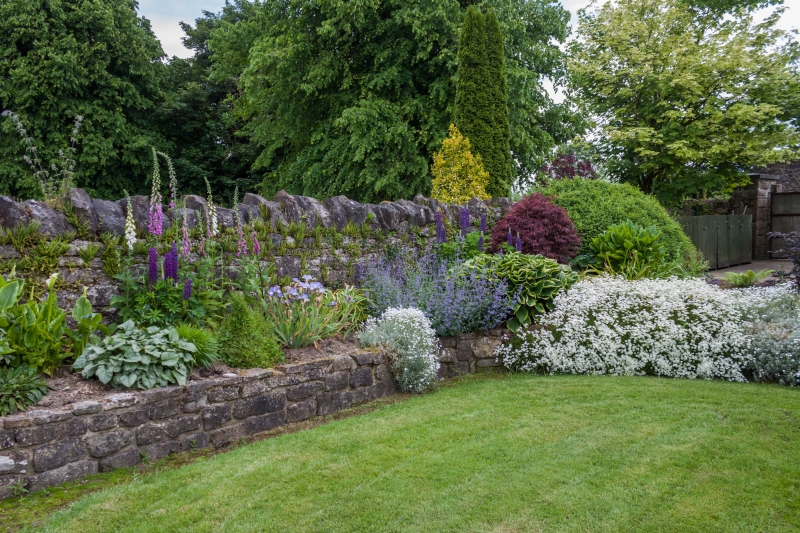 lp_support_shutterstock_1992018803.jpg Jardinier, Andernos-les-Bains