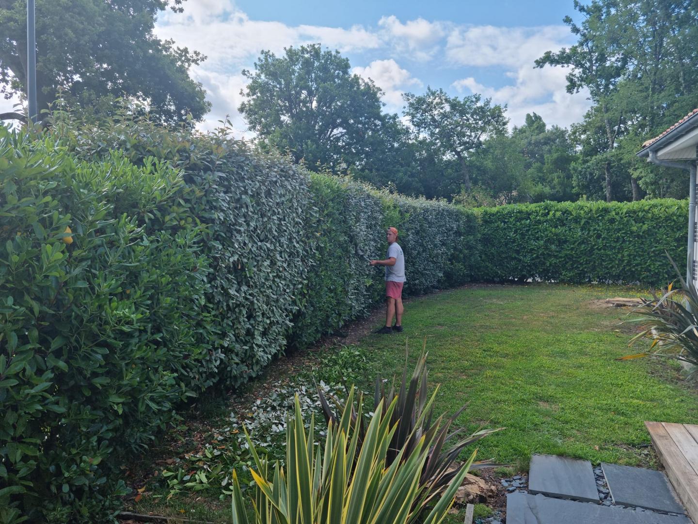 Taille de haie Lacanau